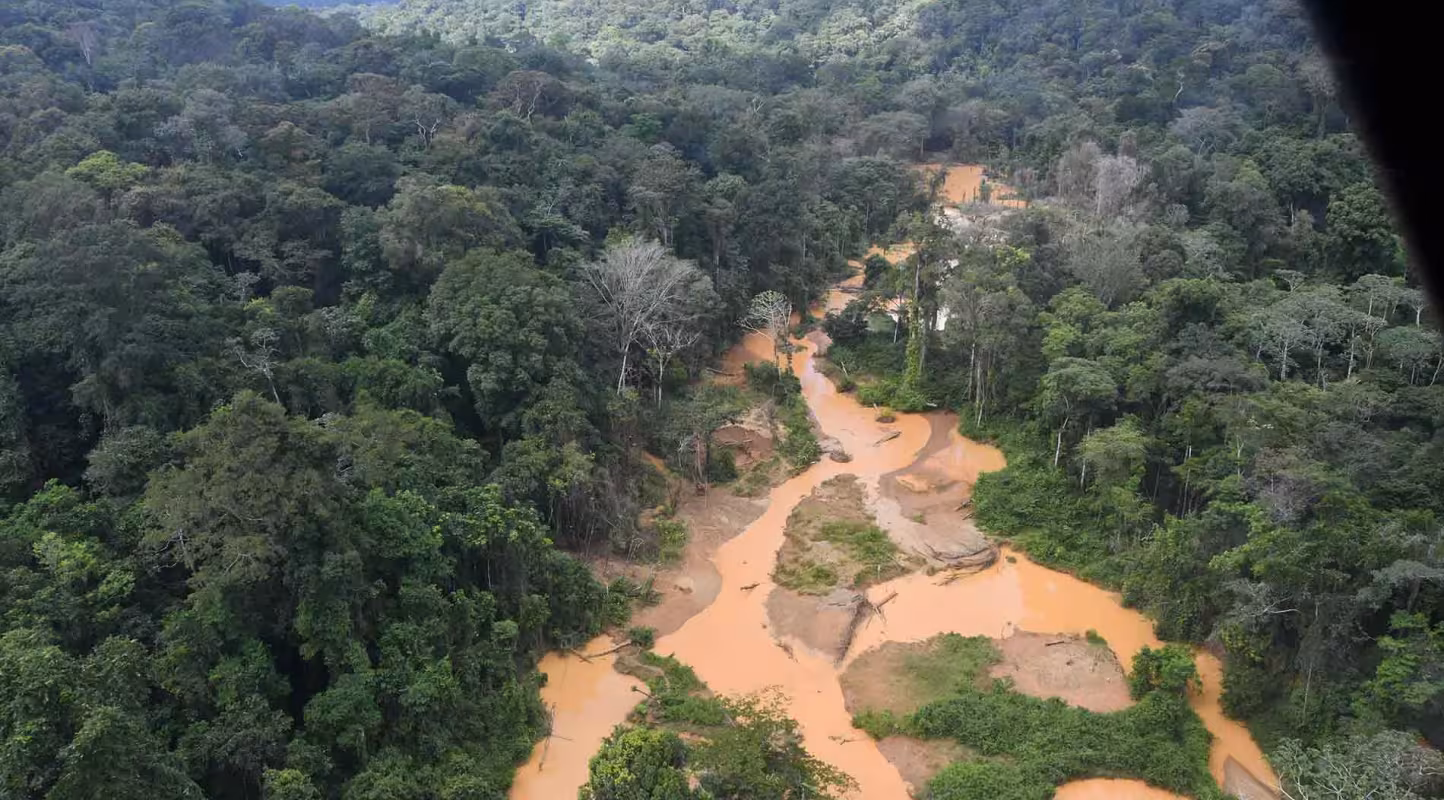 Orpaillage illégal en Amazonie