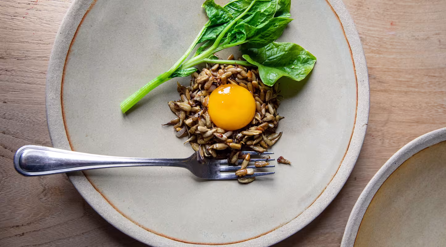 Recette durable de Florent Ladeyn -  Oeufs marinés à la bière et graines de tournesol germées