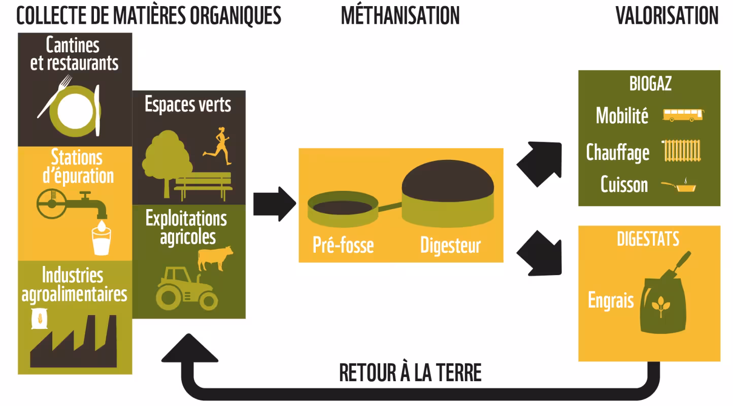 Comprendre le processus de méthanisation en infographie