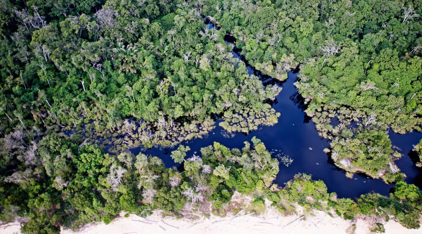 Vue aérienne de la côte Atlantique au Gabon. Les forêts du Gabon s'étendent jusqu'à la côte