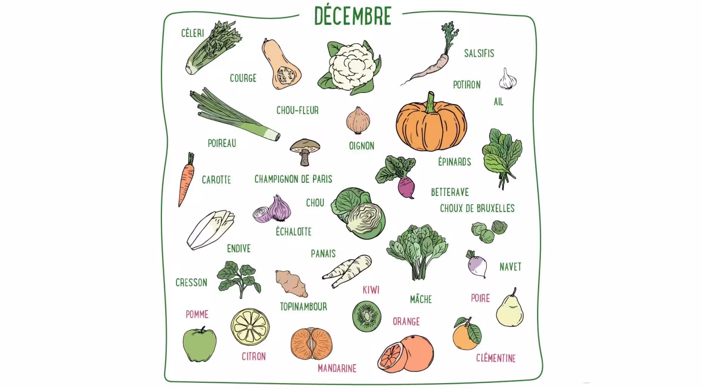 Salsifis, courge, betterave, mâche, orange, clémentine... Découvrez les fruits & légumes de saison du mois de décembre en France métropolitaine.