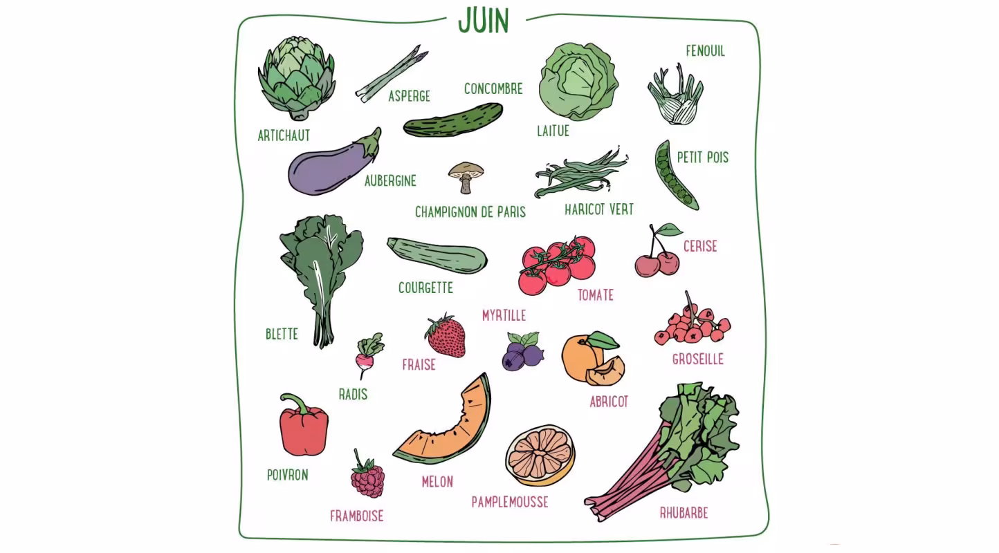 Haricots verts, blettes, tomates, aubergines, melons, cerises... Découvrez les fruits & légumes du mois de juin en France métropolitaine.