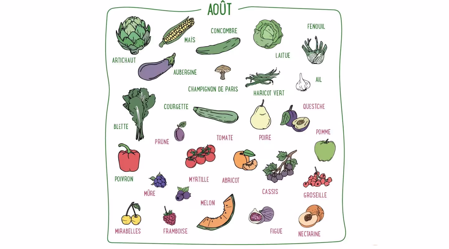 Laitue, concombre, courgette, quetsche, myrtille, mûre... Découvrez les fruits & légumes du mois de août en France métropolitaine.