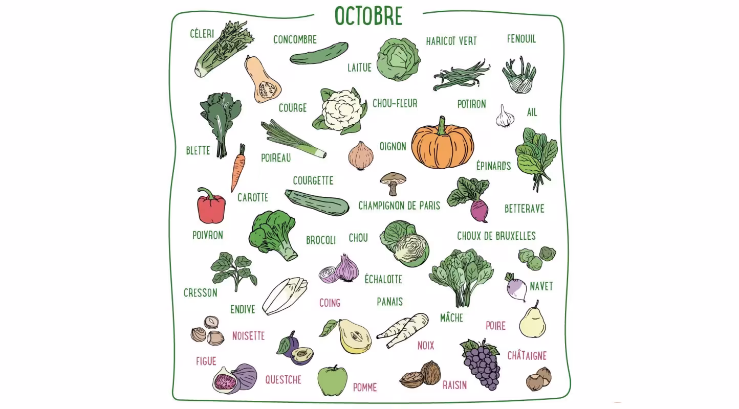 Chou, échalote, céleri, châtaigne, coing... Découvrez les fruits & légumes de saison du mois d'octobre en France métropolitaine.