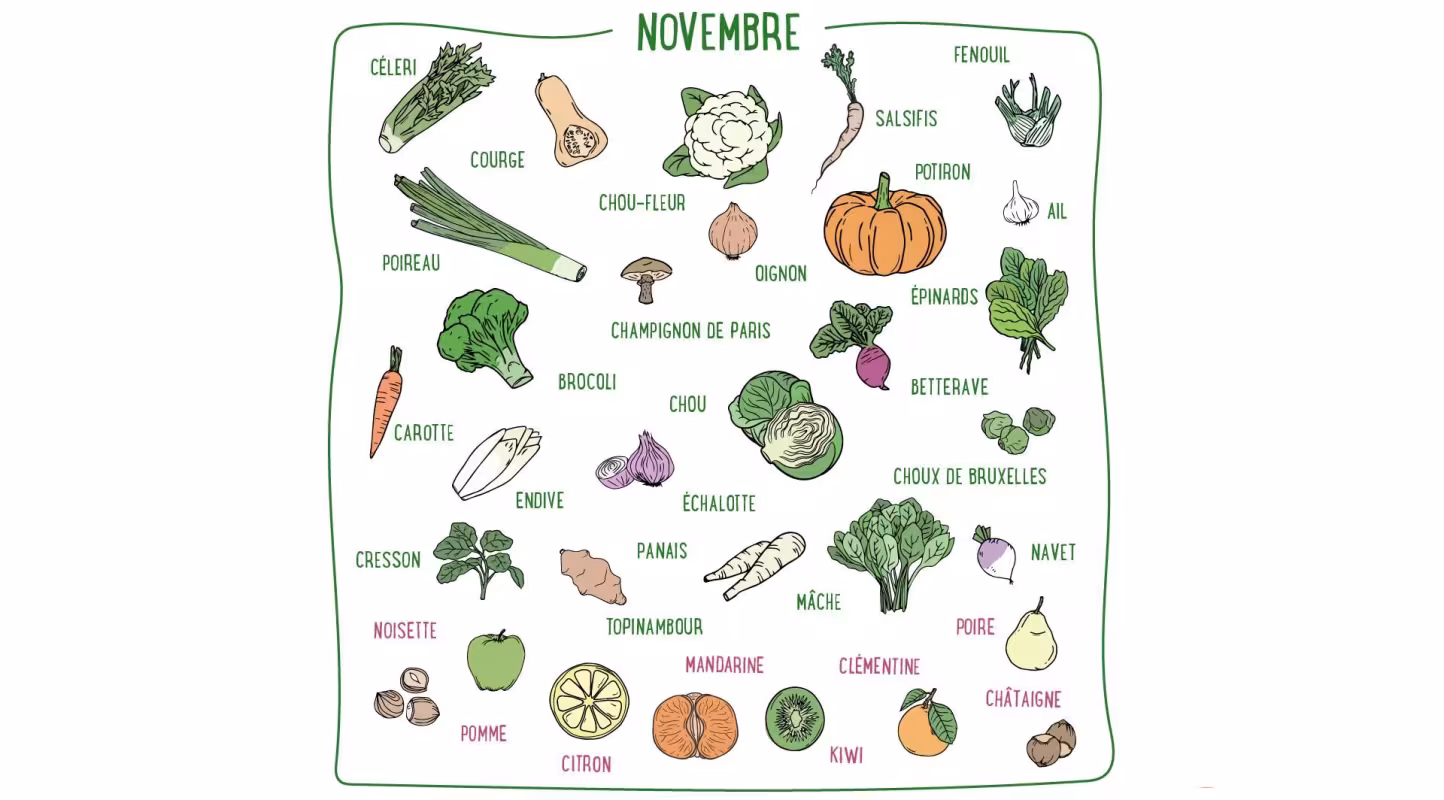Fenouil, carotte, topinambour, citron, kiwi... Découvrez les fruits & légumes de saison du mois de novembre en France métropolitaine.
