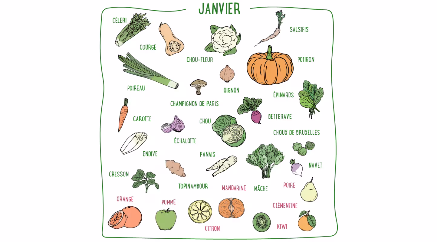 Céleri, citron, chou-fleur, mâche, mandarine, clémentine, poire, orange... Découvrez les fruits et légumes de saison du mois de janvier en France métropolitaine.