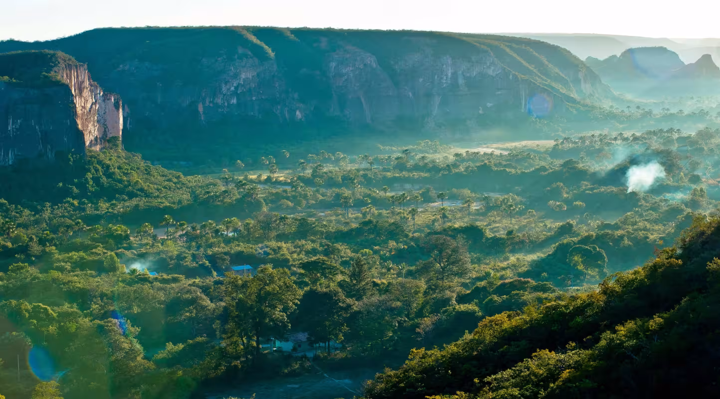 Paysage du Cerrado, Brésil.