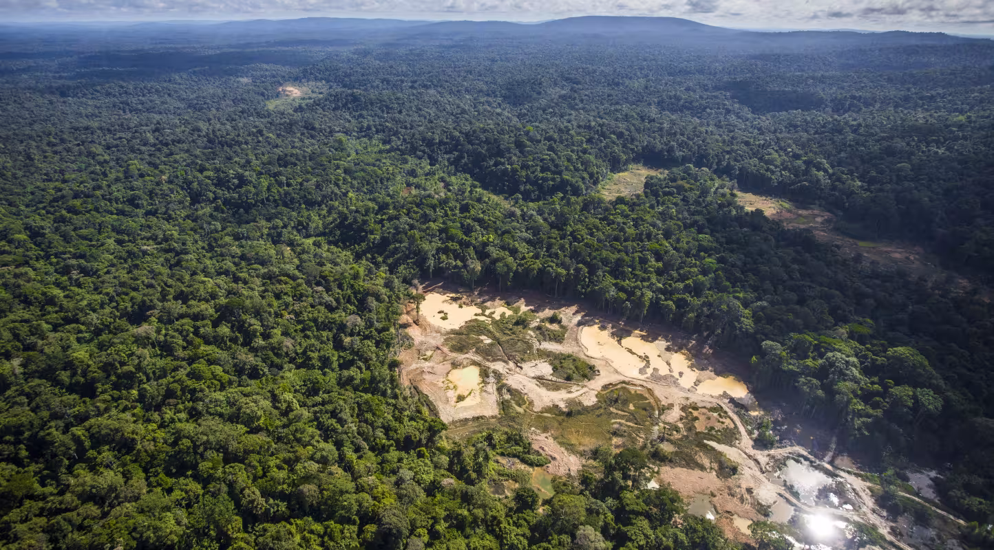 Un site d'orpaillage illégal en Guyane