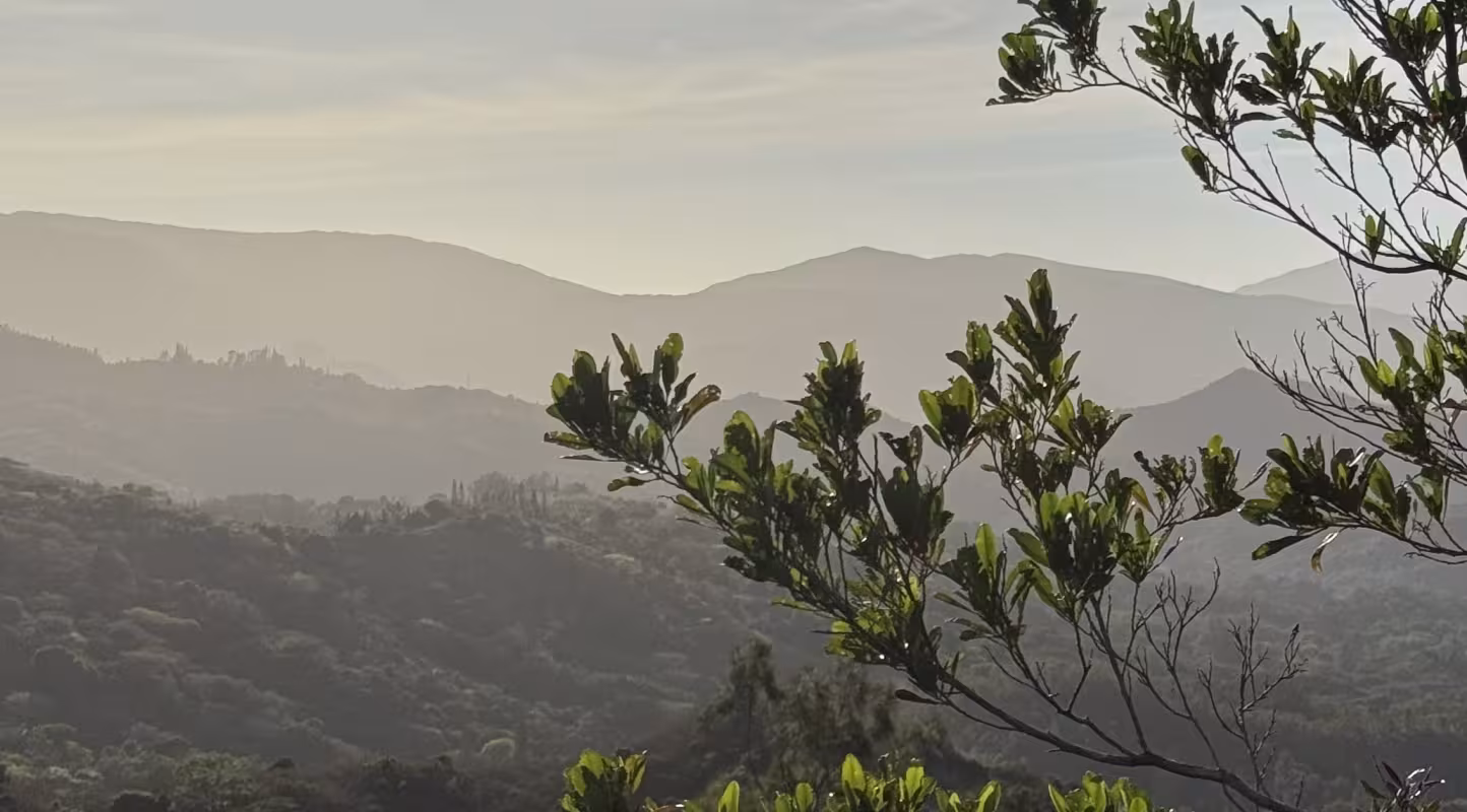 Nouvelle-Calédonie paysage