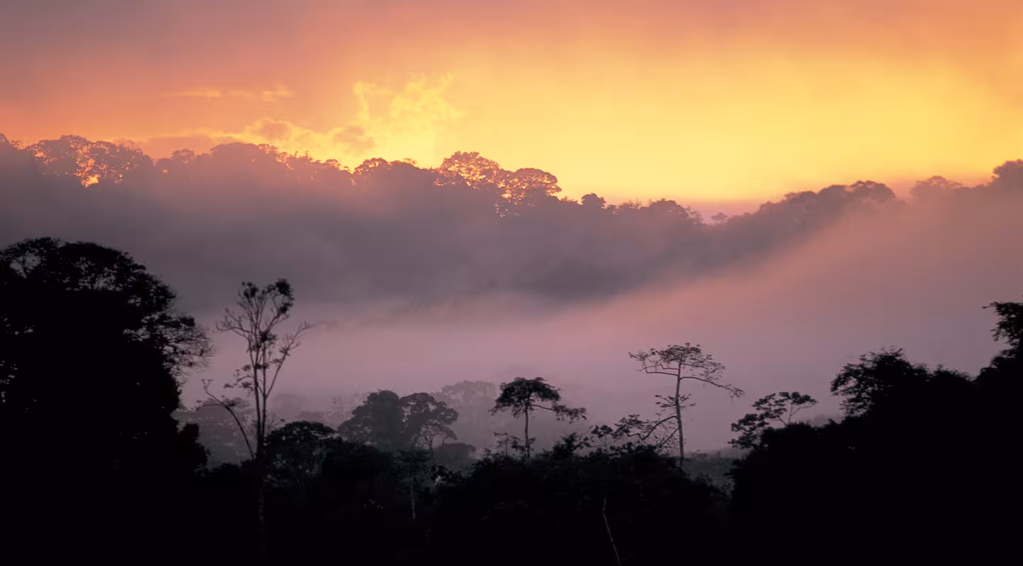 Coucher de soleil sur la forêt amazonienne, Guyane
