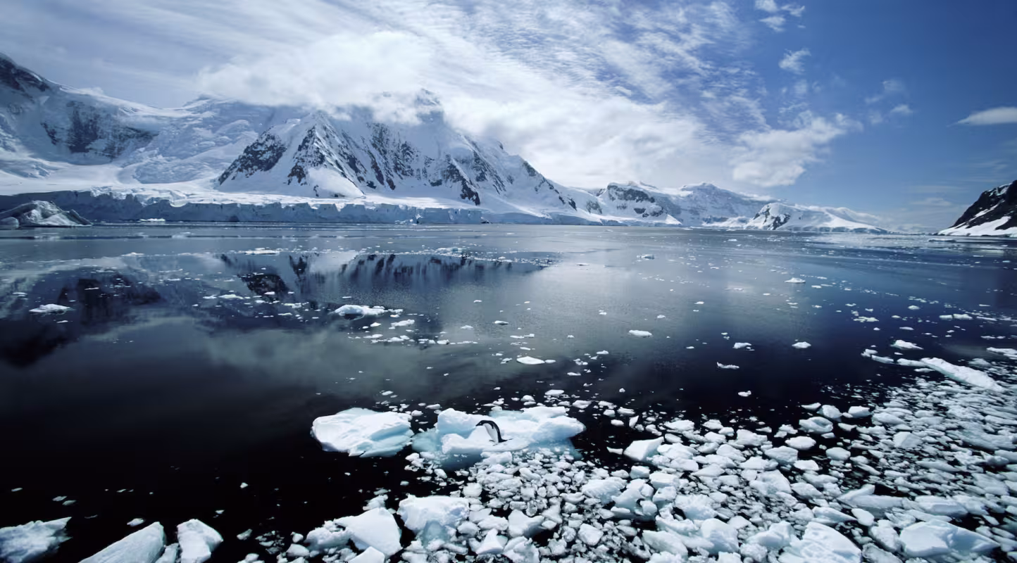 Paradise Bay (Antarctique)