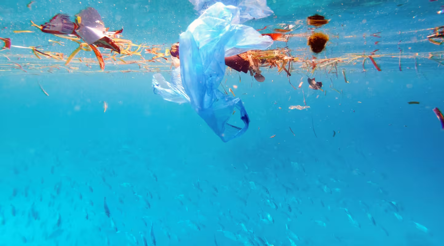 Du plastique flotte dans l'océan.
