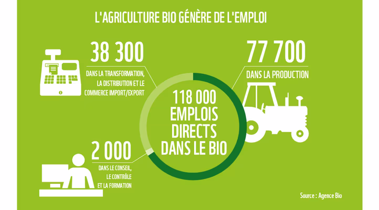 Infographie 10 signaux : le boom du bio fait décoller l'emploi