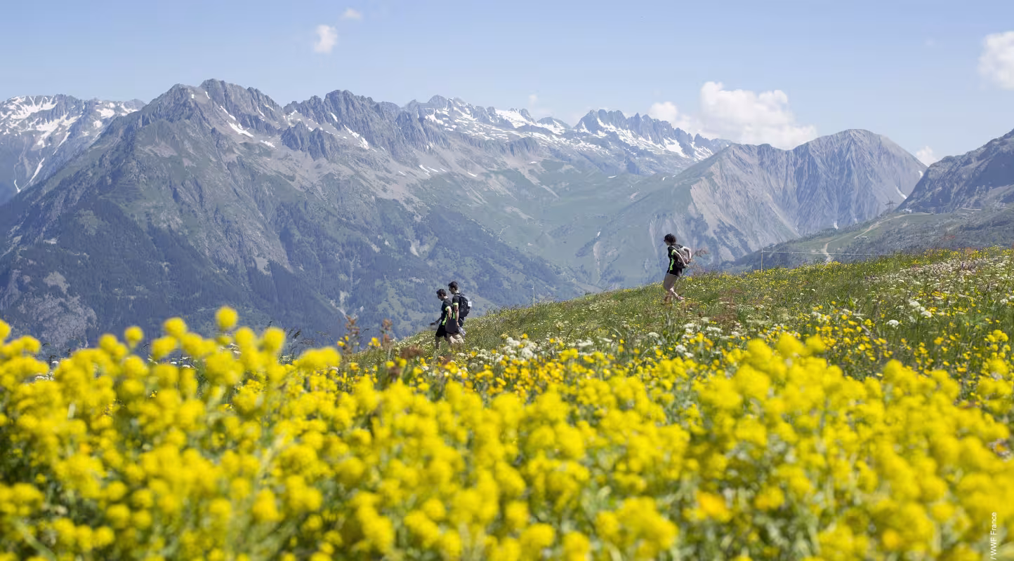 Equipe de pandathlètes qui descendent un chemin de montagne à l'Alpe d'Huez (France)
