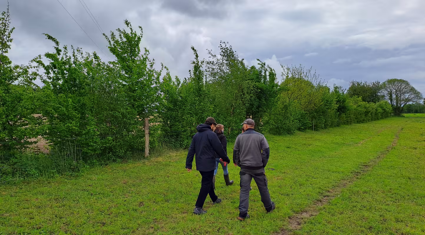 Avec des terres protégées et mieux irriguées grâce aux haies, les agriculteurs peuvent augmenter leur productivité.