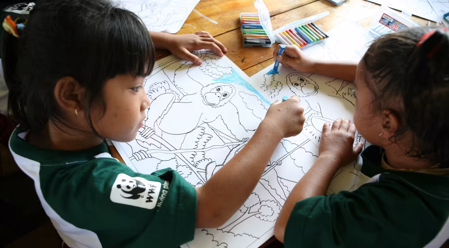 Jeunes filles en train de colorier des orangs-outans
