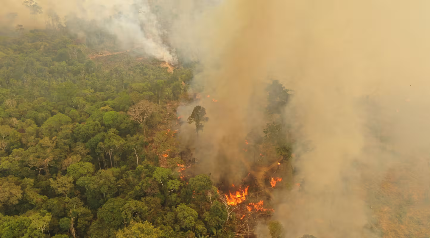 Août 2019, les feux à Porto Velho, Brésil, ravagent la forêt amazonienne.