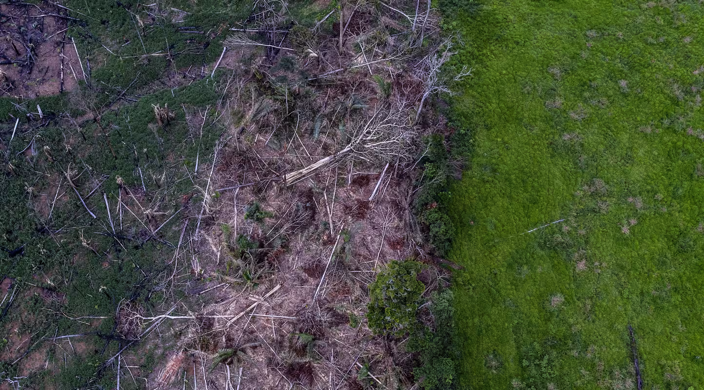 Déforestation illégale en Amazonie proche du territoire des indigènes Uru-Eu-Wau-Wau