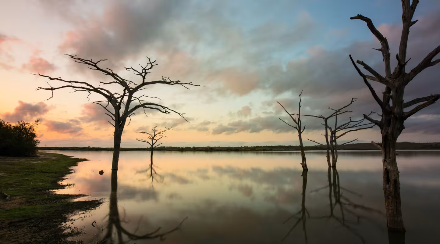 Coucher de soleil sur la réserve de Selous en Tanzanie