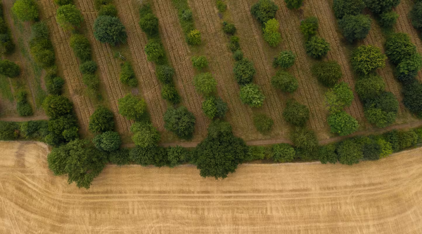 Agroforesterie