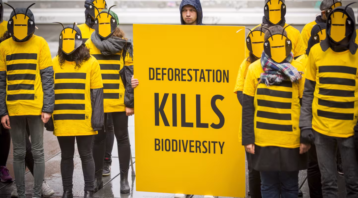 Des bénévoles du WWF France participe au Die In organisé pour la sortie des résultats du rapport IPBES 3019, Paris, France.