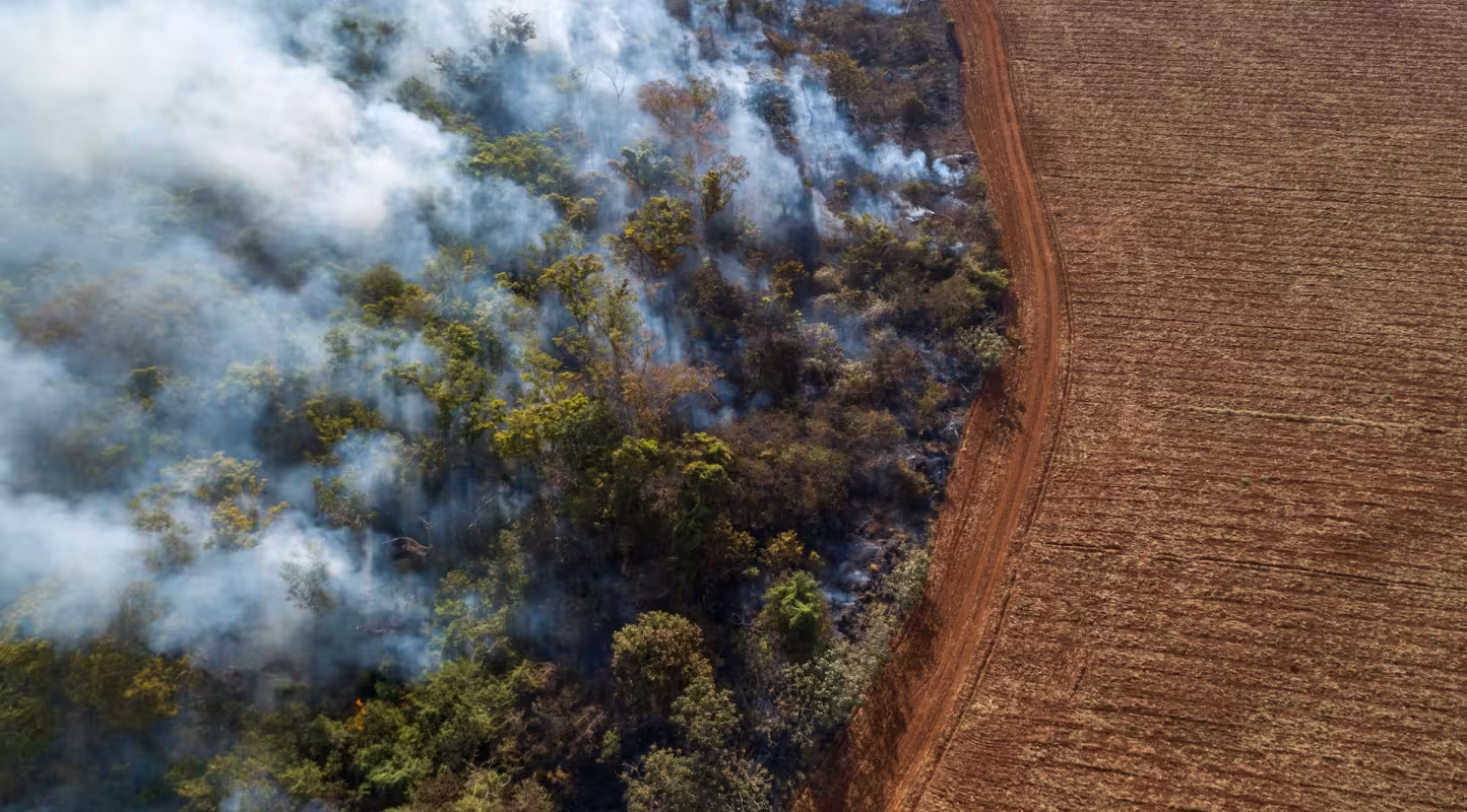 La forêt amazonienne en feux au Brésil.