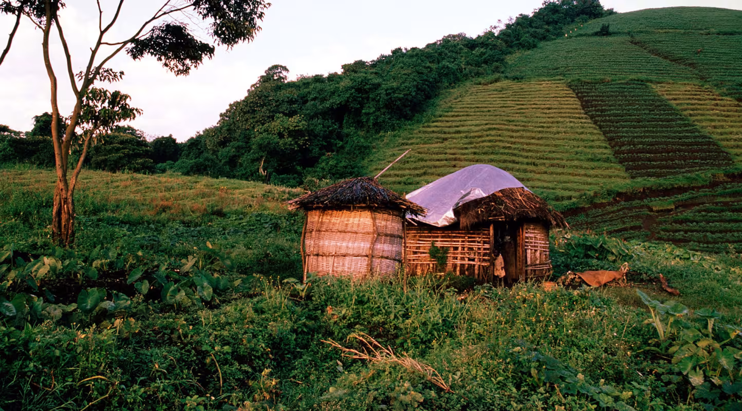 Une petite cabane est dans le parc national des Virungas 