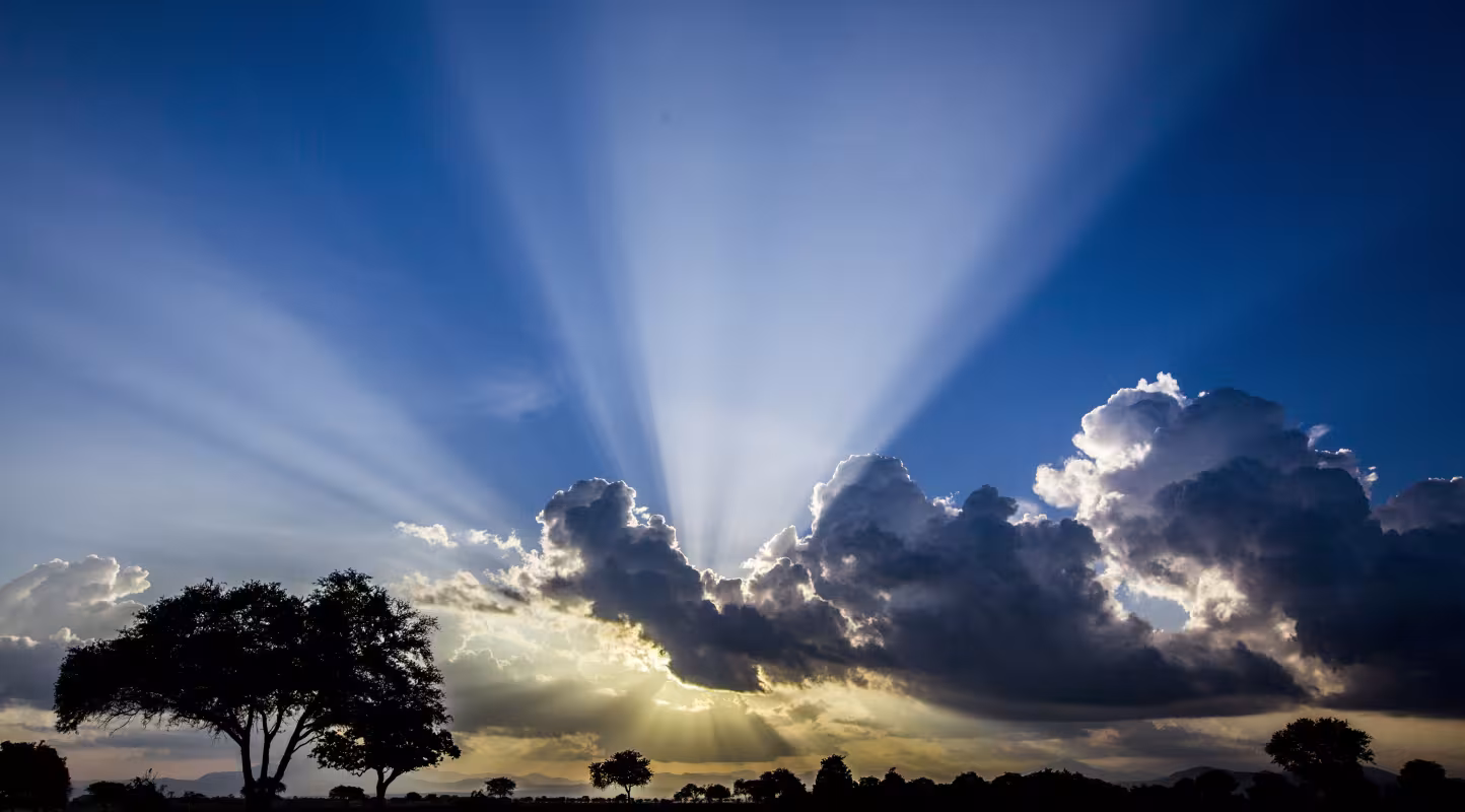 Coucher de soleil dans le Parc National Mikumi (Tanzanie)