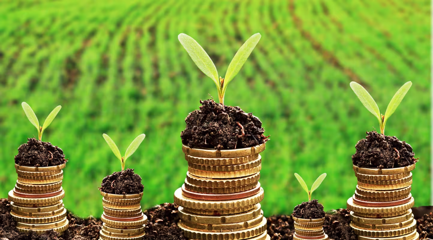 Finance verte