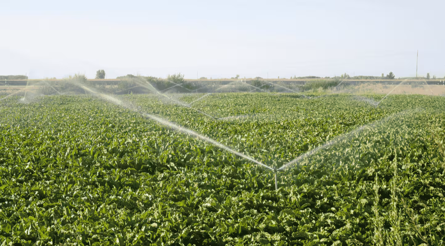 Irrigation champs agriculture