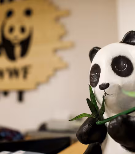 La figurine du panda dans les locaux du WWF France
