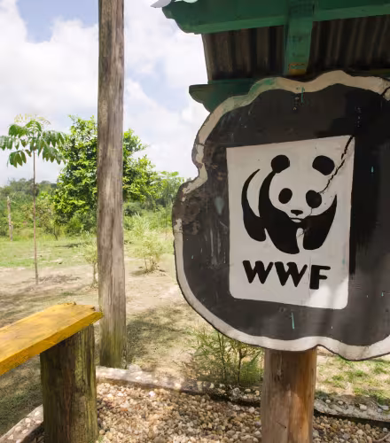 Panneau avec logo WWF, Parc national de Tesso Nilo (Indonésie)