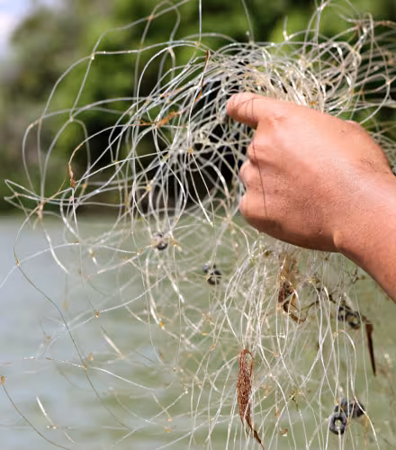 Un ranger sort de l'eau un filet de pêche installé illégalement au Cambodge