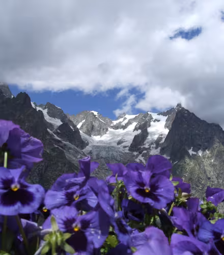 Alpes et capucines, Italie