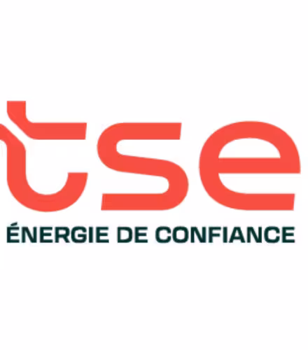 Logo TSE