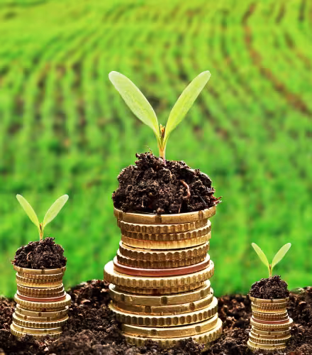 Finance verte