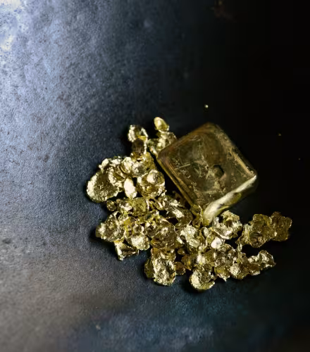 Pépites d'or extraites d'une mine dans l'état du Para (Brésil)