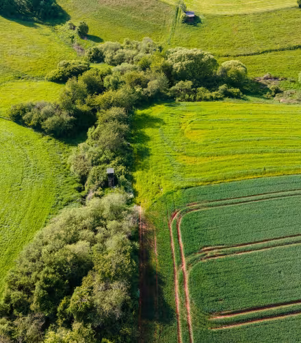Campagne agroforesterie - Plantons des haies dans les champs