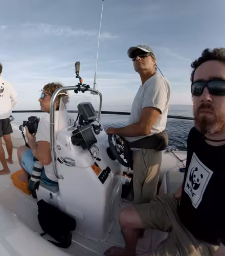 Les experts du WWF en pleine mission de balisage de cétacés dans le Sanctuaire Pelagos en Méditerranée