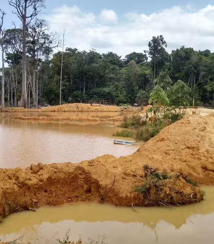 La forêt amazonienne dévastée par les garimpeiros (adeptes des pratiques d'orpaillage illégal) entre le Suriname et la Guyane française