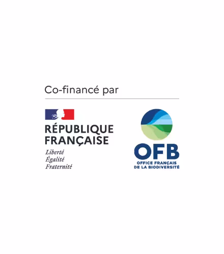 Logo OFB
