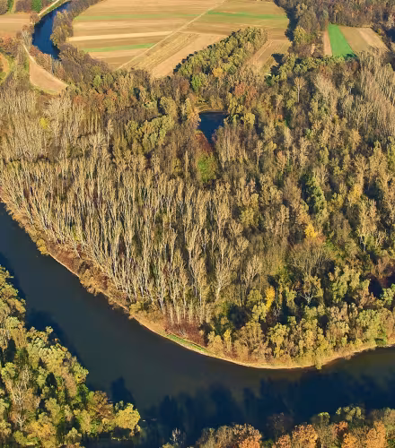 La rivière Mura abrite la plus riche biodiversité de poissons (51 espèces de poissons) et les plus grandes forêts inondables (Slovénie)