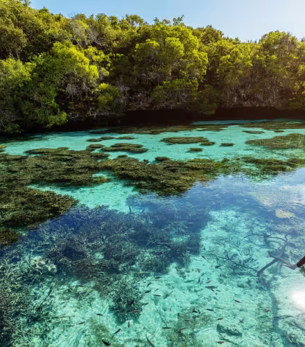 Nouvelle Calédonie - natural pool