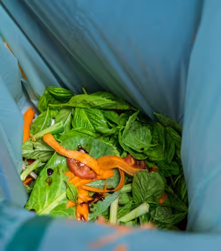 Compost