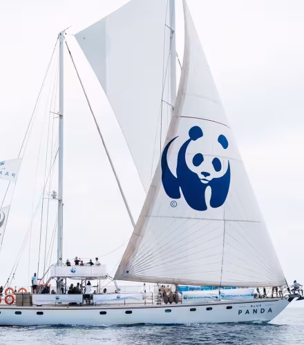 Le bateau Blue Panda sur la méditerranée