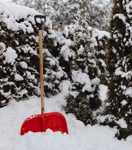 Outil jardinier hiver