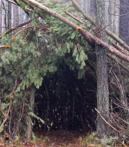 Cabane dans les bois