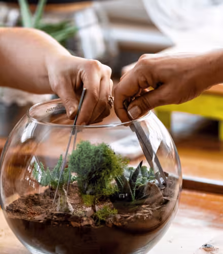 Terrarium
