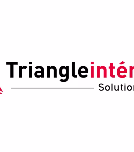 Triangle Intérim - Solutions RH