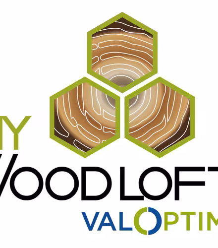 Logo de l'entreprise Valoptim
